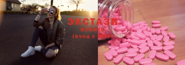 стаф Аркадак