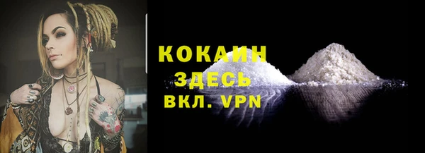стаф Аркадак