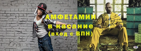 стаф Аркадак