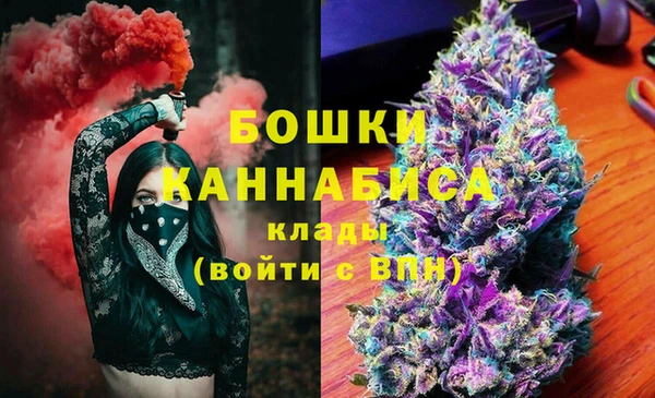стаф Аркадак