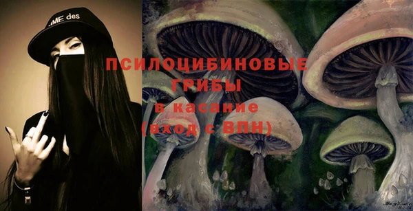 стаф Аркадак