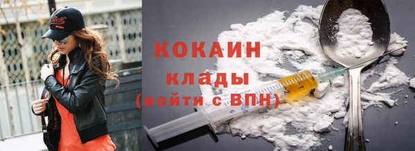 стаф Аркадак