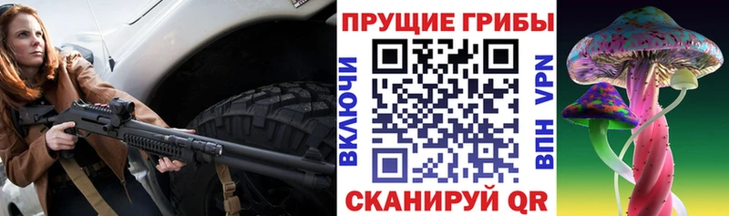 Галлюциногенные грибы прущие грибы  где купить наркоту  Баксан 