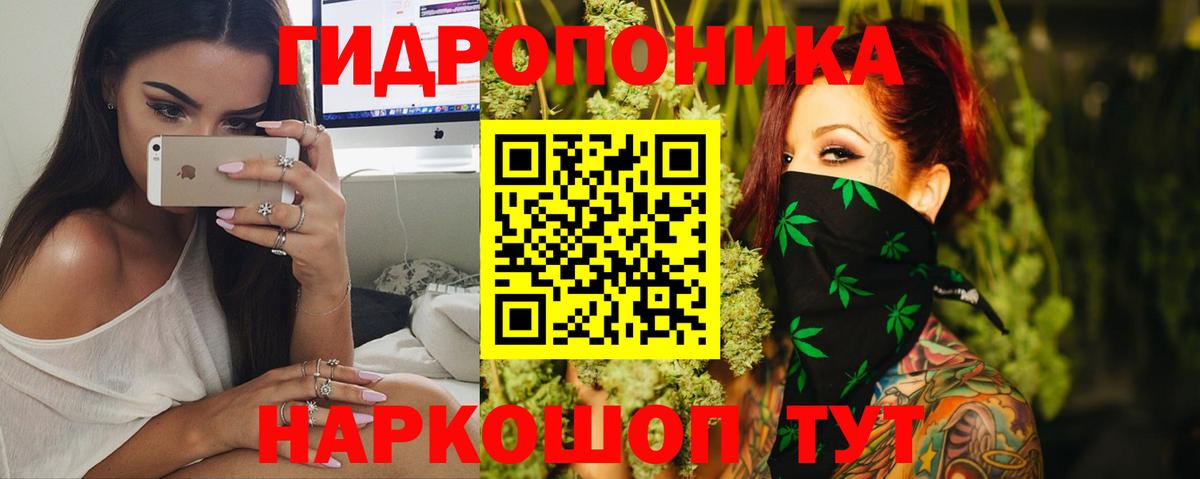 Конопля Amnesia  Бошки Шишки THC 21%  Шишки марихуана гибрид  Баксан  Шишки марихуана Ganja  Вход с VPN 